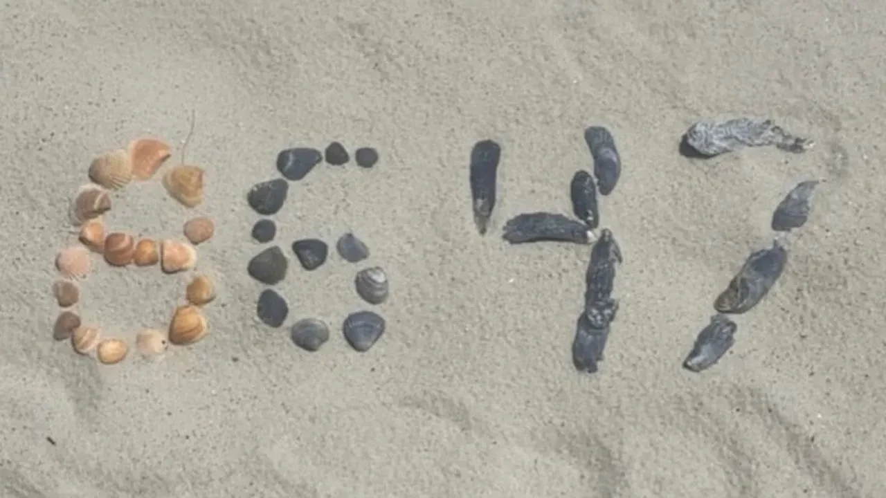 "8647" kodu güvenlik alarmı verdi: Sosyal medyadaki gizemli paylaşım inceleme altında