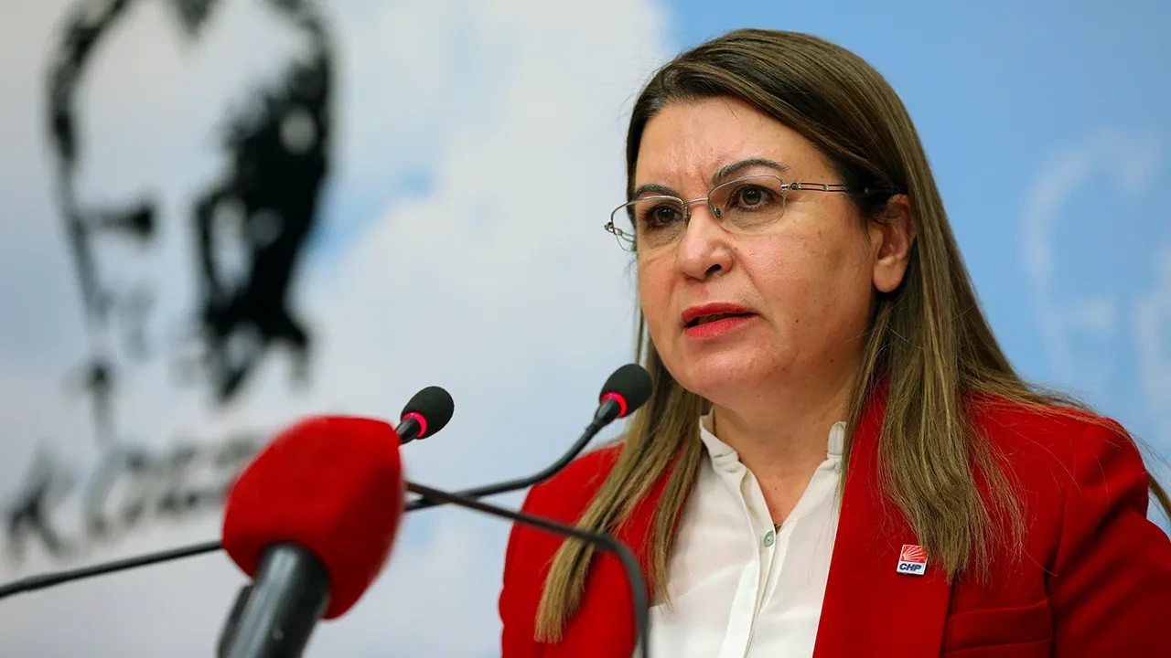 Gülizar Biçer Karaca kimdir? TBMM Başkanvekili Gülizar Biçer Karaca kaç yaşında ve nereli?