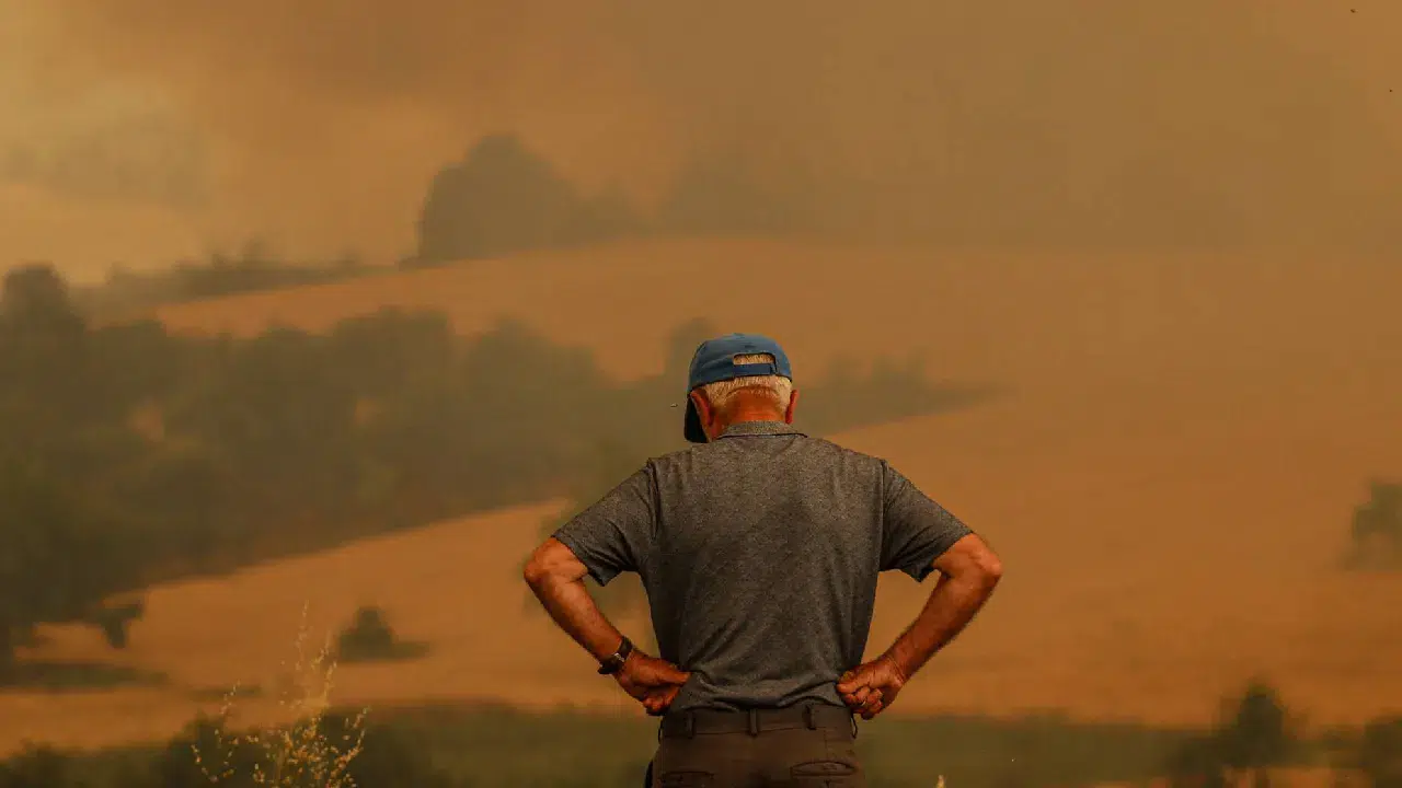 Bakan Yumaklı: Sakarya-Bilecik yangınıyla ilgili 3 kişi gözaltında