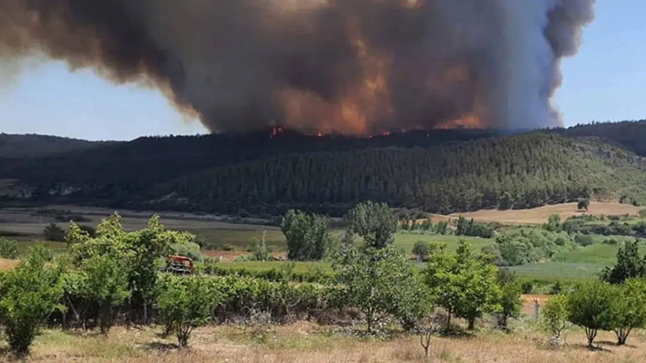 Adana Çukurova’daki orman yangınına sebep olan 5 kişi tutuklandı
