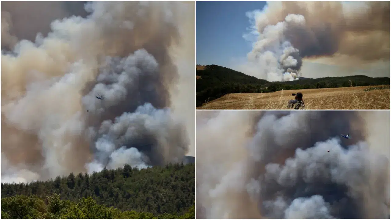 Sakarya Taraklı’da orman yangını: 12 helikopter ve uçakla müdahale, evler tahliye edildi