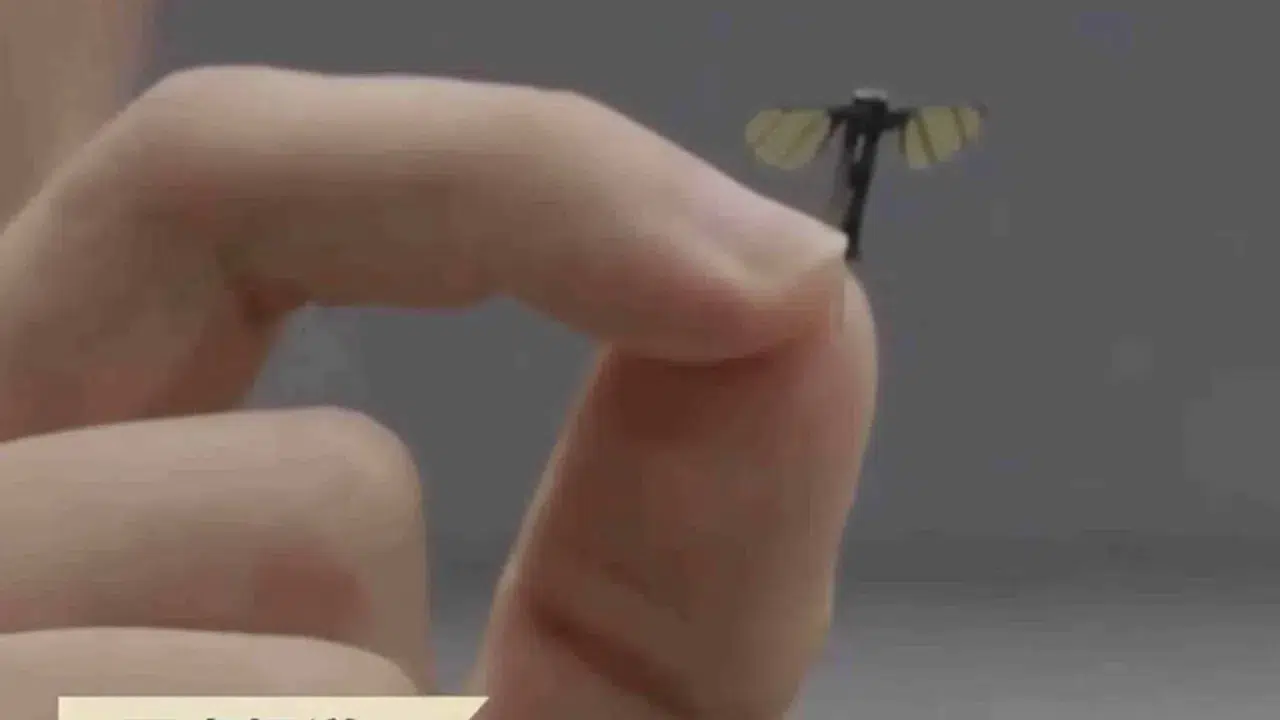 Çin, nano drone teknolojisinde yeni bir döneme giriyor: Sinek dronelar geliyor!