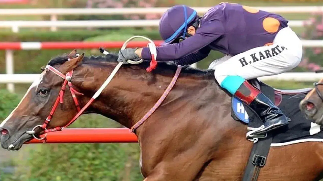 99. Gazi Koşusu ne zaman, saat kaçta? Halis Karataş yarışacak mı, hangi atlar katılıyor?