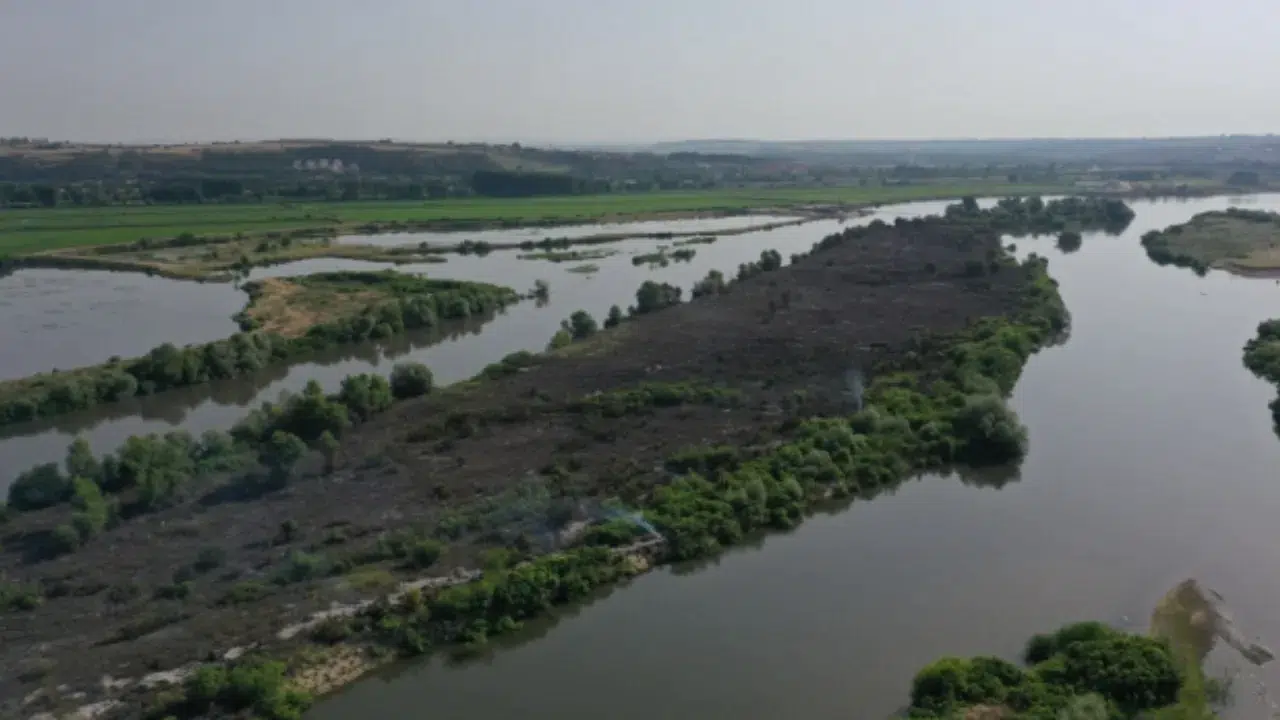 Edirne'de Meriç Nehri kenarındaki adacıkta yangın