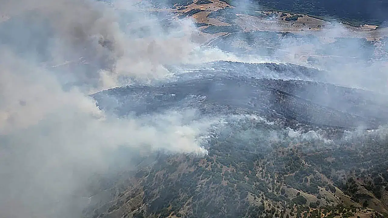 Manisa Kula’da orman yangını: Havadan ve karadan müdahale sürüyor