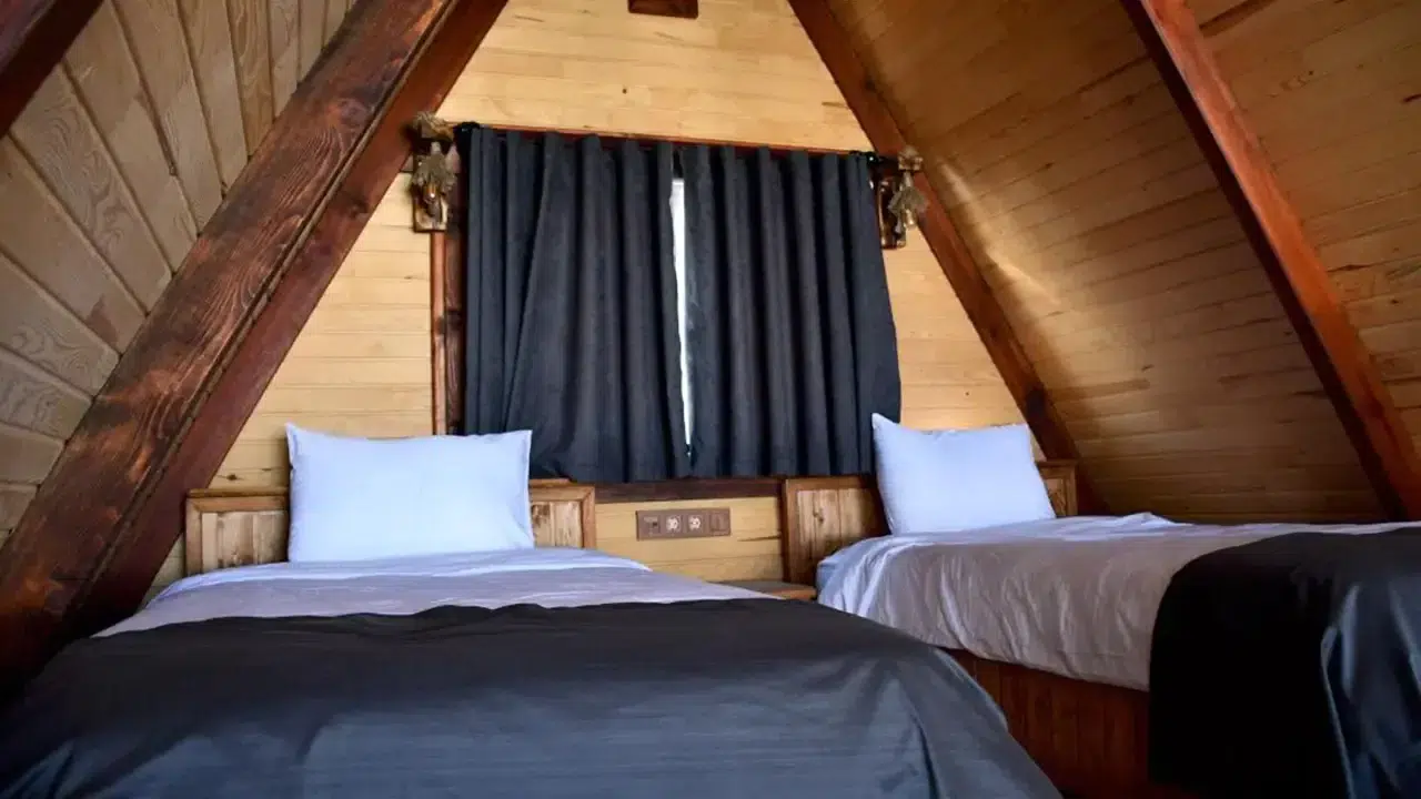 Türkiye’de dijital dolandırıcılık şebekesine büyük darbe: 50 gözaltı, 263 milyon liralık vurgun