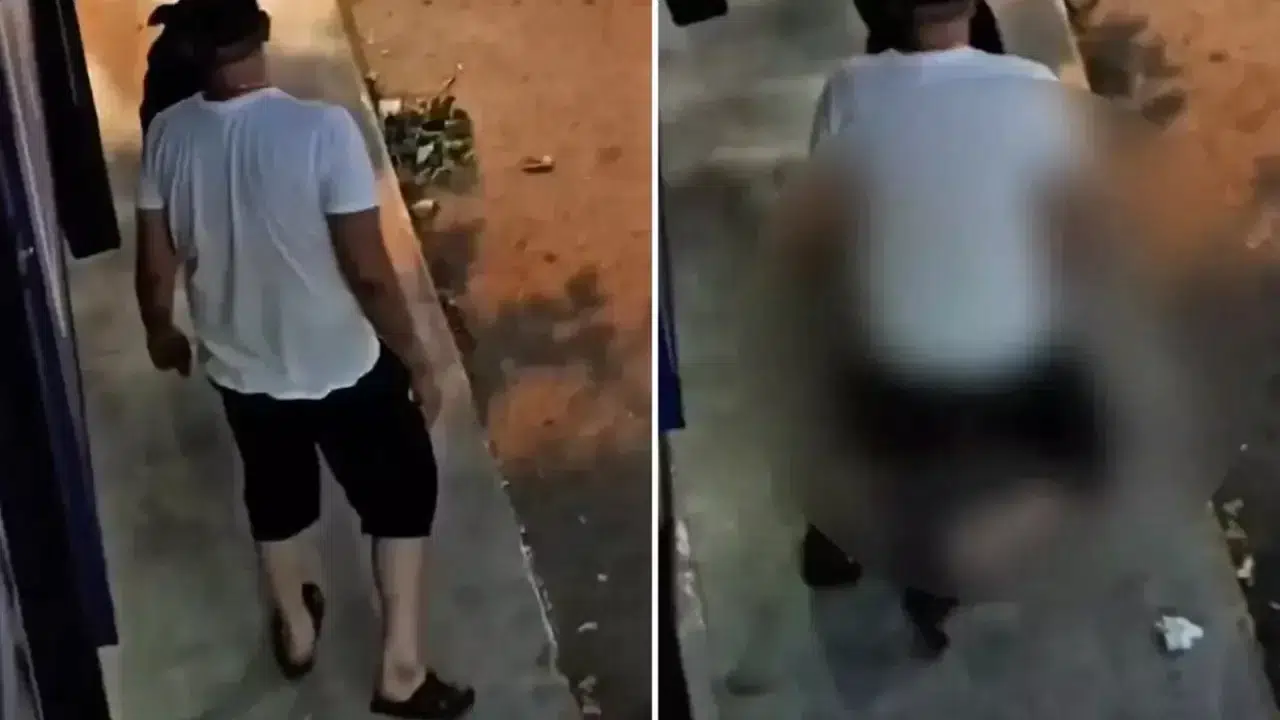 Pendik’te bir erkek, köpeğe tecavüz etti!