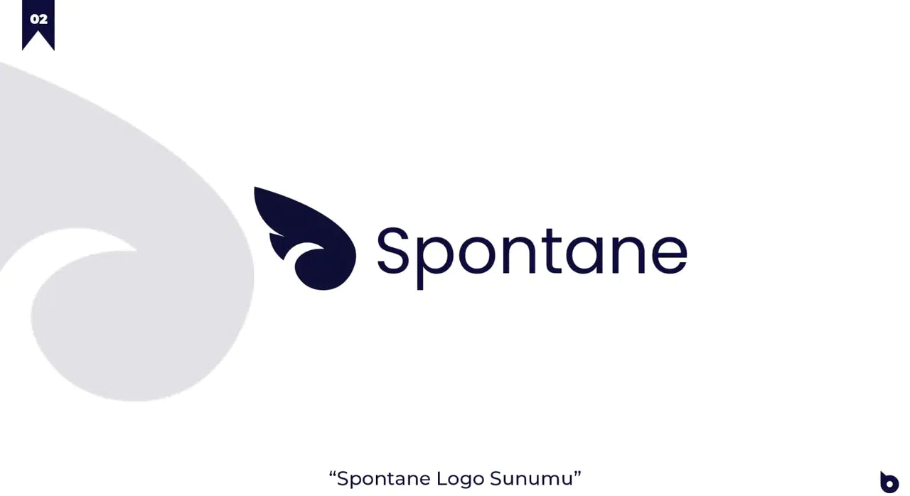 Kısaca Spontane Medya – Kastamonu’nun Sesi’dir