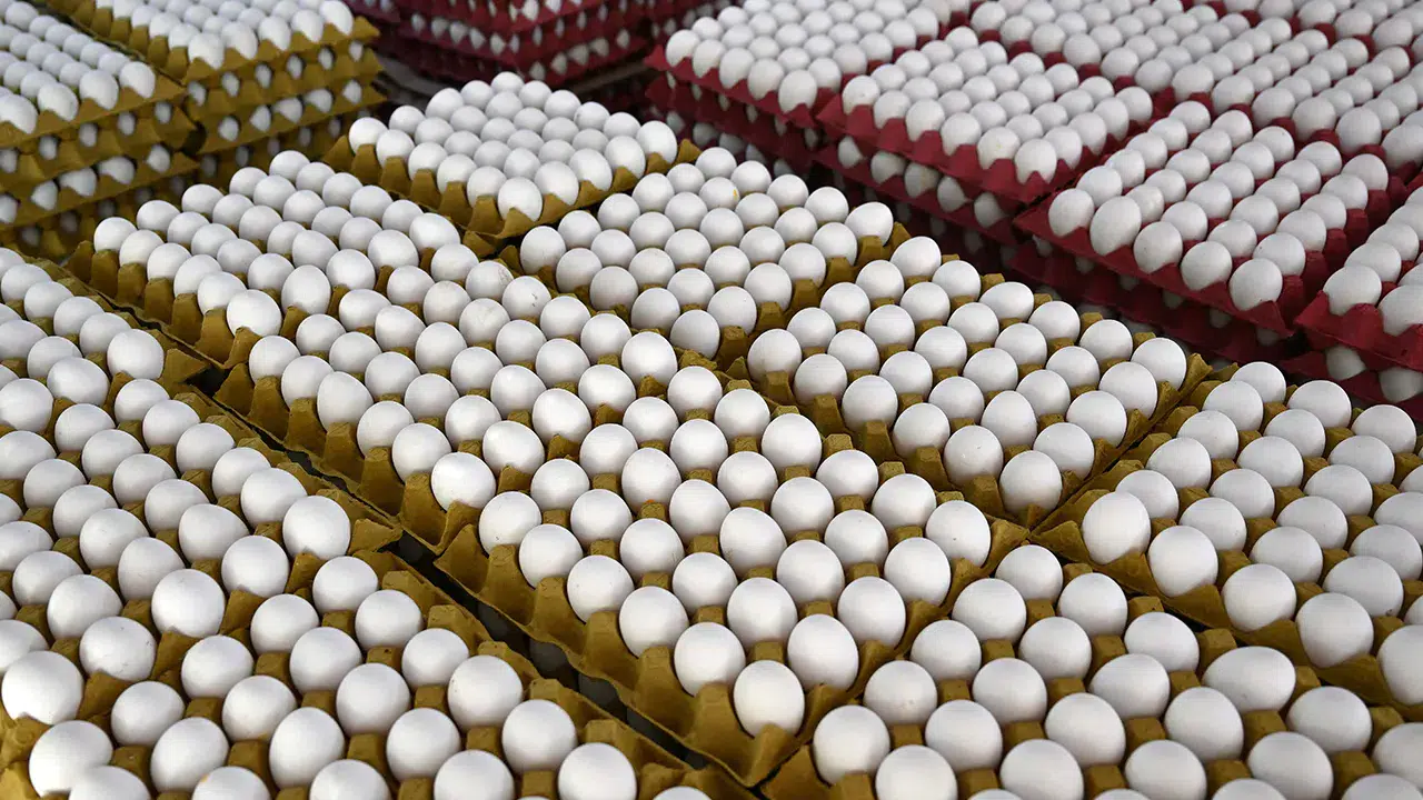 Yumurtada 'son tüketim tarihi' ibaresi kaldırılıyor, yerine...