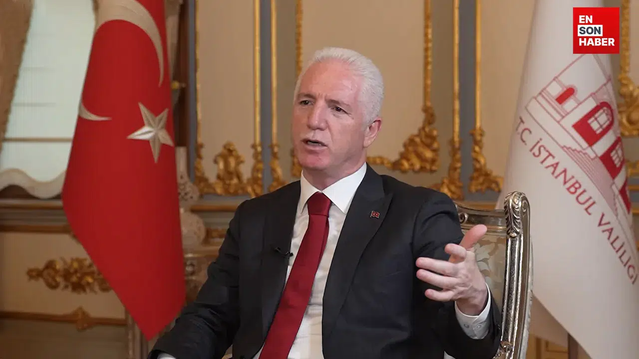 İstanbul Valisi Davut Gül: Yıl sonunda sahipsiz sokak hayvanları gündemden çıkacak!