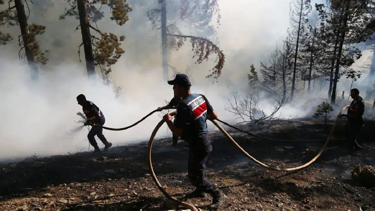 Bakan Yumaklı, orman yangınlarıyla ilgili son bilgileri paylaştı