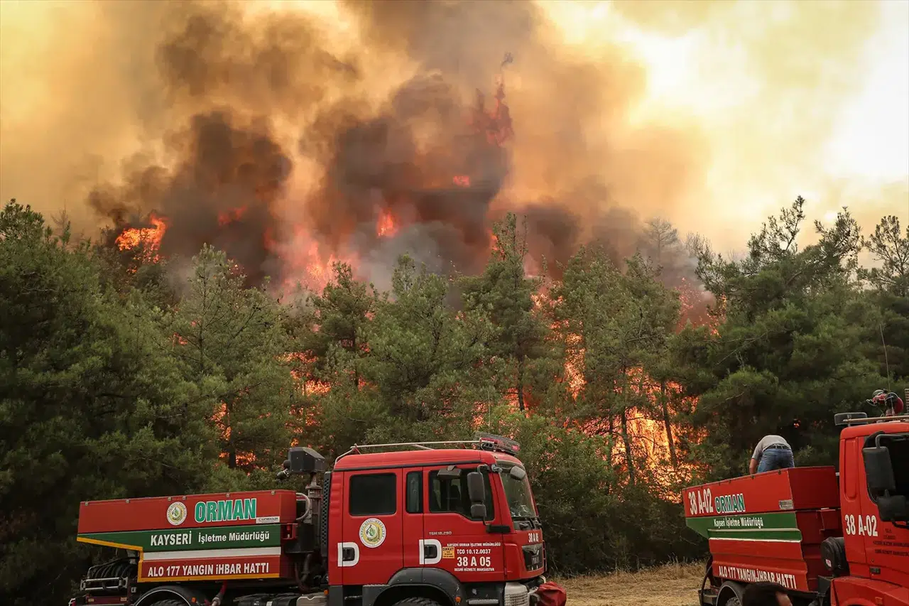 Bilecik ve İzmir 'Genel Hayata Etkili Afet Bölgesi' ilan edildi