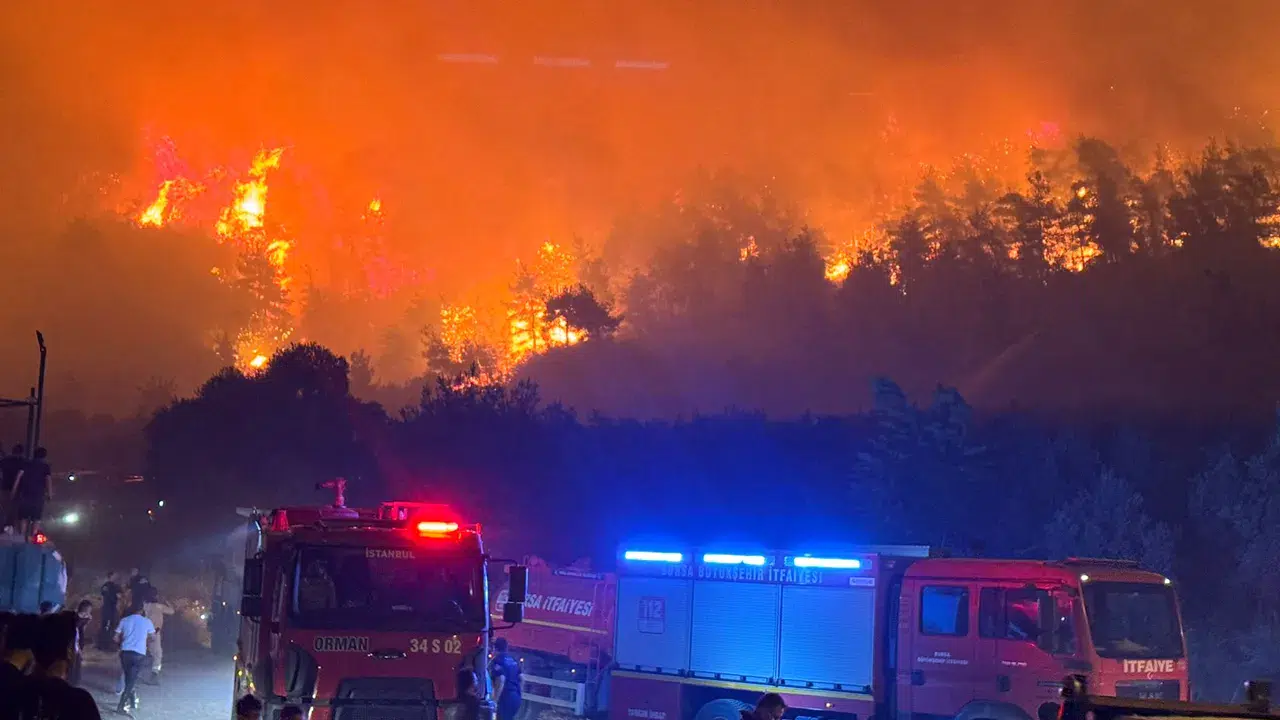 Bursa’daki orman yangınına ilişkin bir kişi gözaltına alındı
