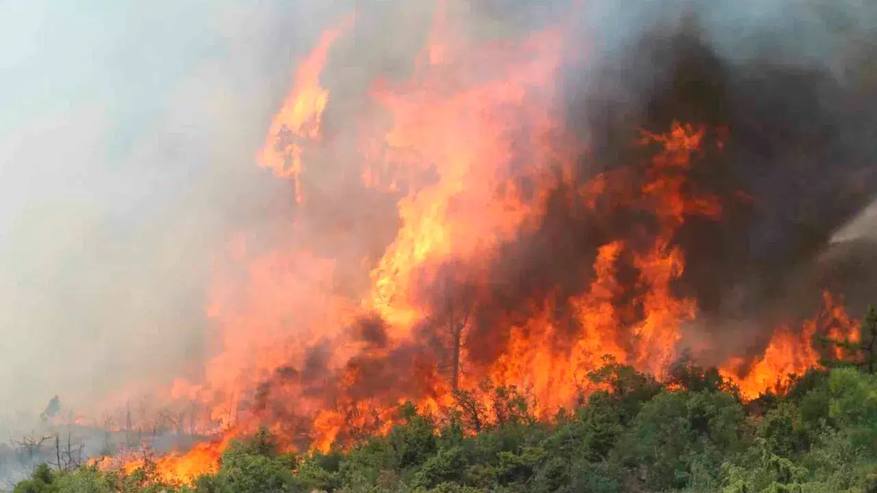 Bursa'da orman yangının faili FETÖ bağlantılı Ufuk Aytekin tutuklandı