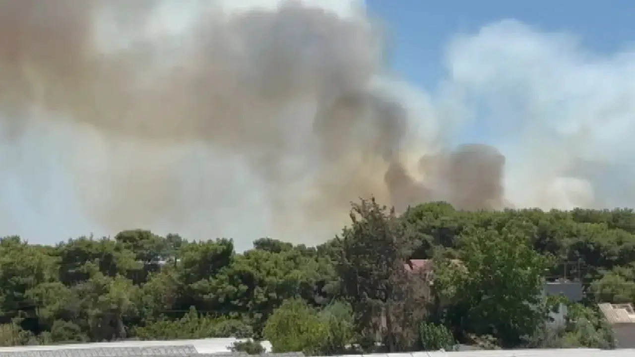Antalya Muratpaşa’da orman yangını yeniden başladı