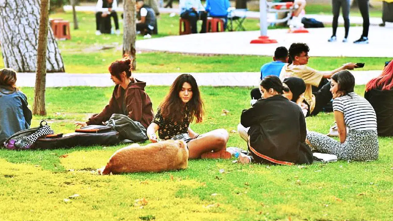 Parklara imar şartı olmadan inşaat izni: Şehirlerin son yeşil alanları tehlikede