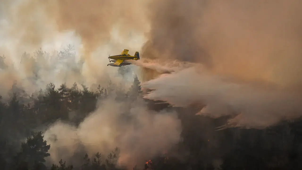 Bakan Yumaklı: 4 ildeki 5 orman yangını kontrol altına alındı, Bursa’daki yangın sürüyor