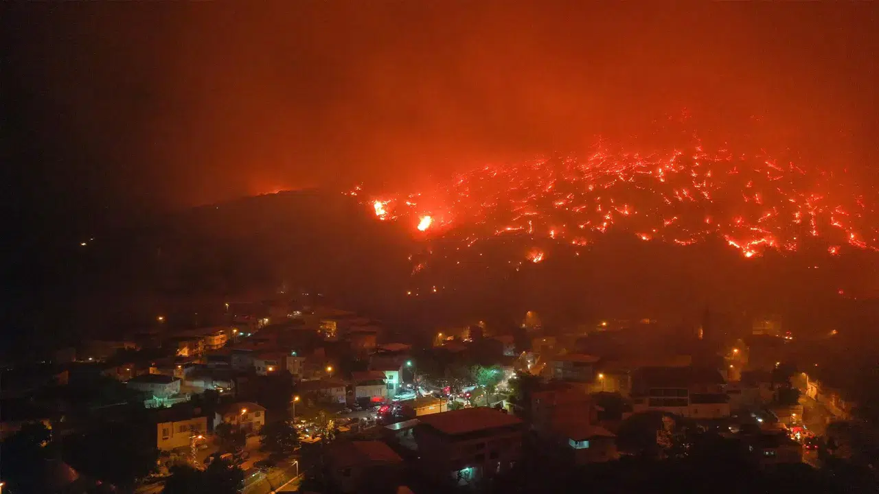 Bursa’daki orman yangınlarında FETÖ bağlantılı bir kişi gözaltına alındı