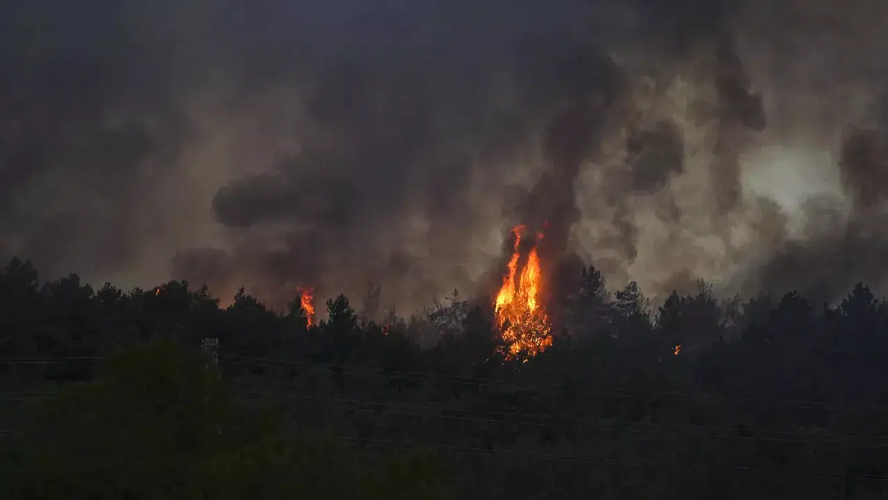 İzmir Urla’da orman yangını: Müdahale havadan ve karadan sürüyor