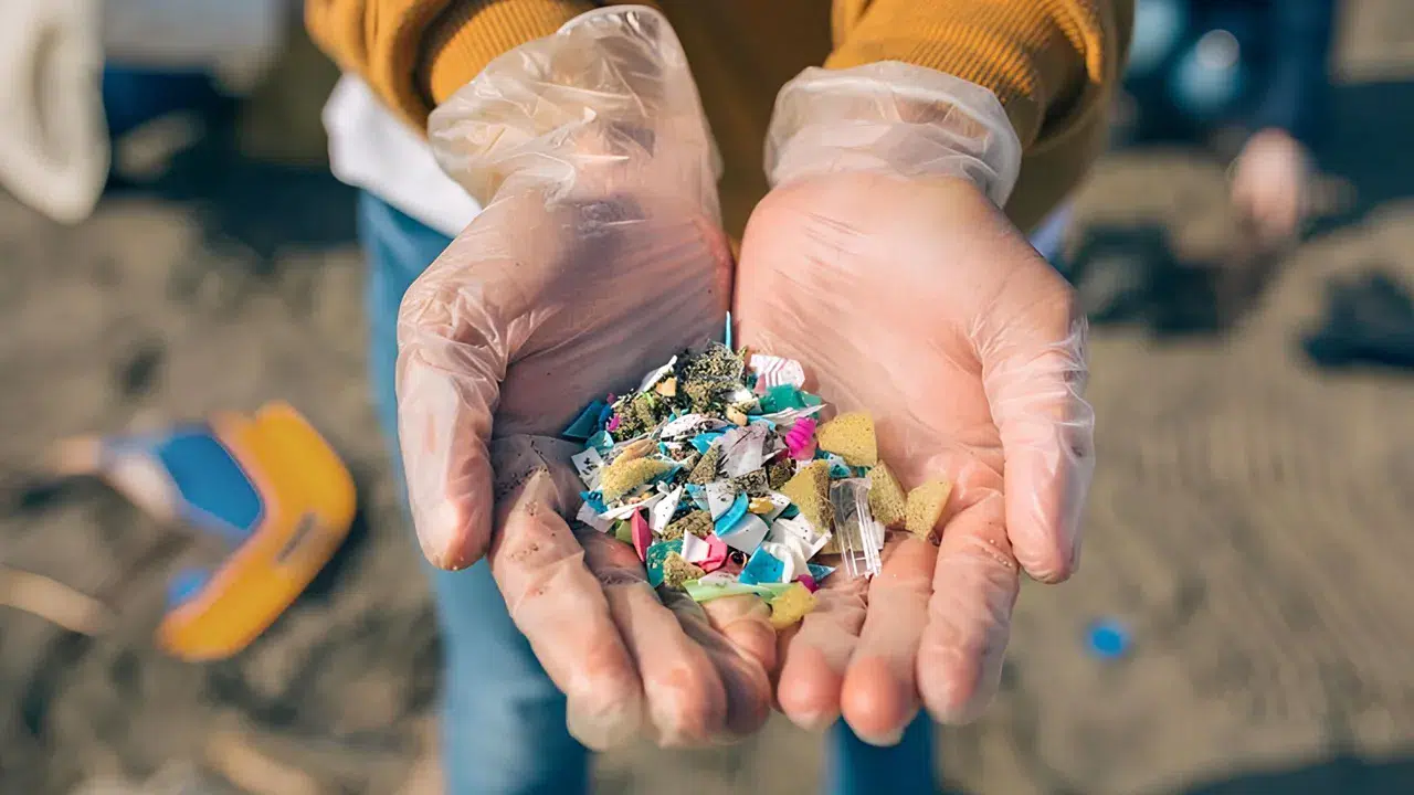 Fransa’da çarpıcı araştırma: Günde 68 bin mikroplastik parçacığı soluyor olabiliriz