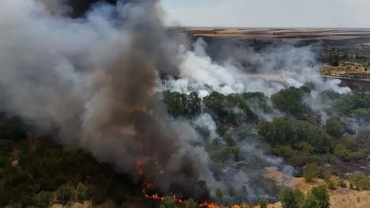 Kırklareli Babaeski’de ağaçlık alanda çıkan yangın nedeniyle Avrupa Otoyolu trafiğe kapatıldı