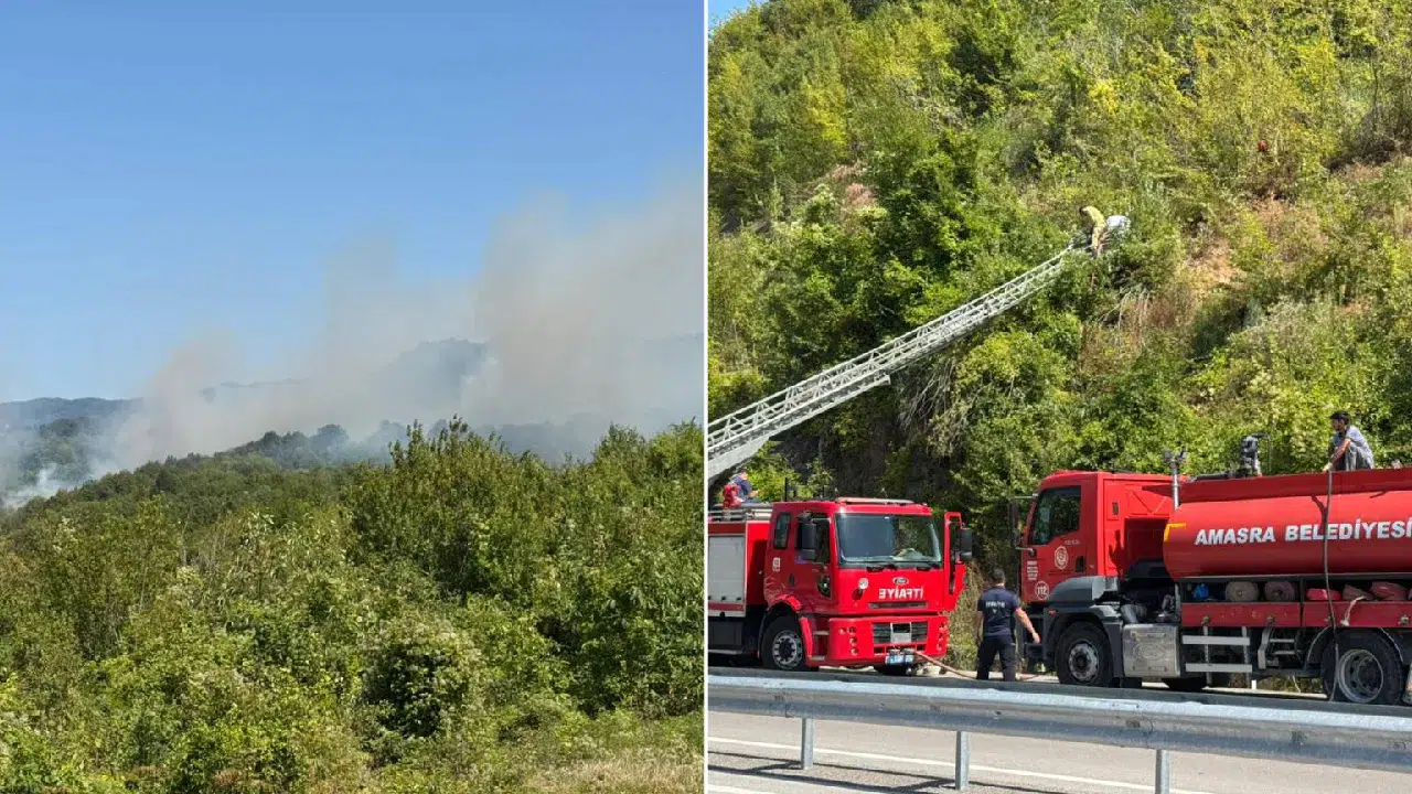 Bartın Amasra’da orman yangını