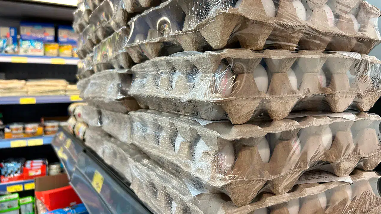 Yumurtaya talebin düşmesiyle fiyatlar da inişe geçti