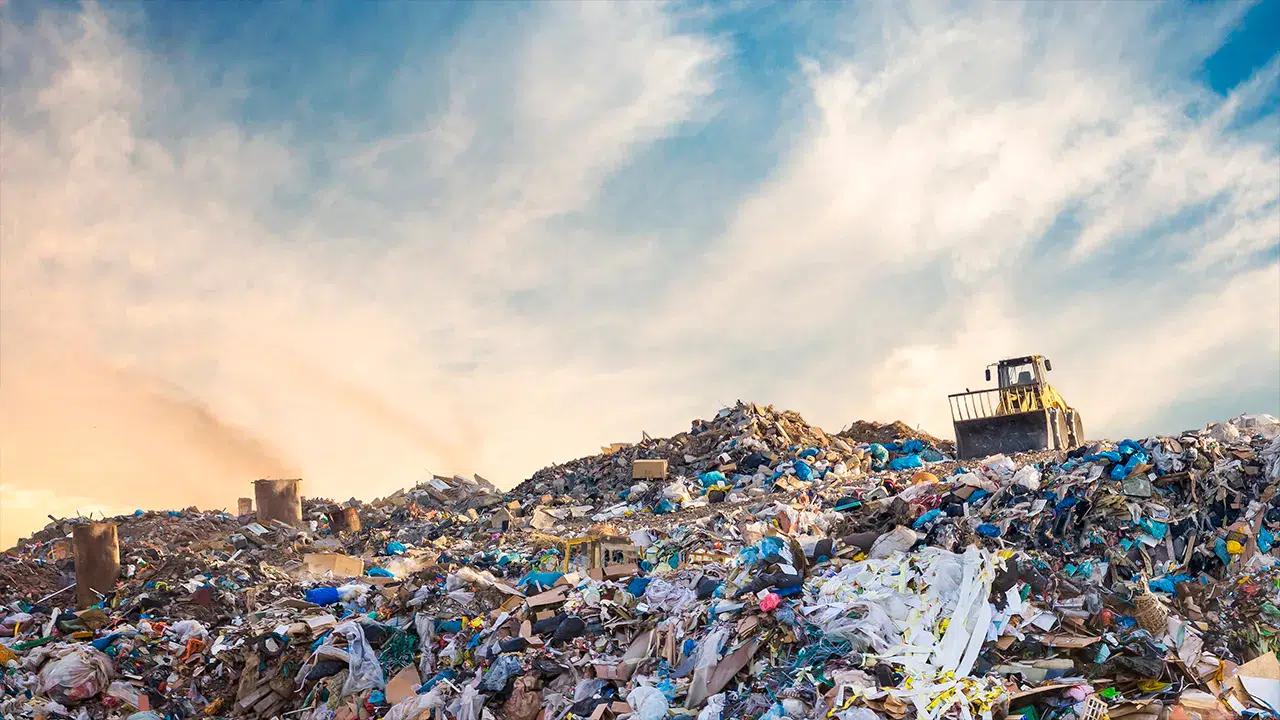 WWF Türkiye: Plastik kirliliği krizine son verebilecek güçlü ve hukuken bağlayıcı bir küresel anlaşma gerekli