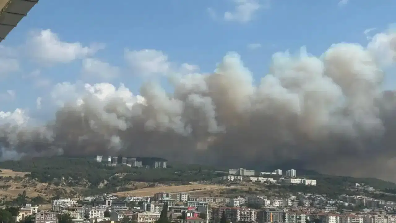 Çanakkale Sarıcaeli köyündeki orman yangınında gözaltına alınan 4 kişi serbest bırakıldı