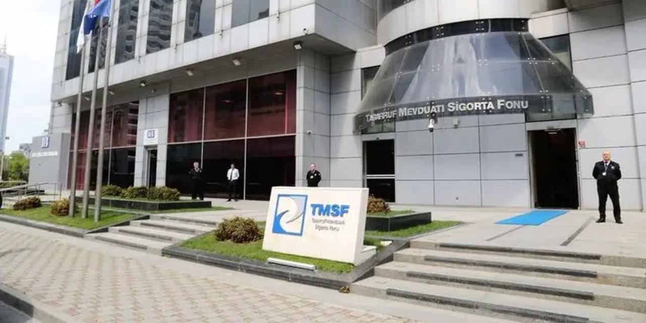 TMSF eylül ayında 12 ihale düzenleyecek: Listede hangi şirketler var?