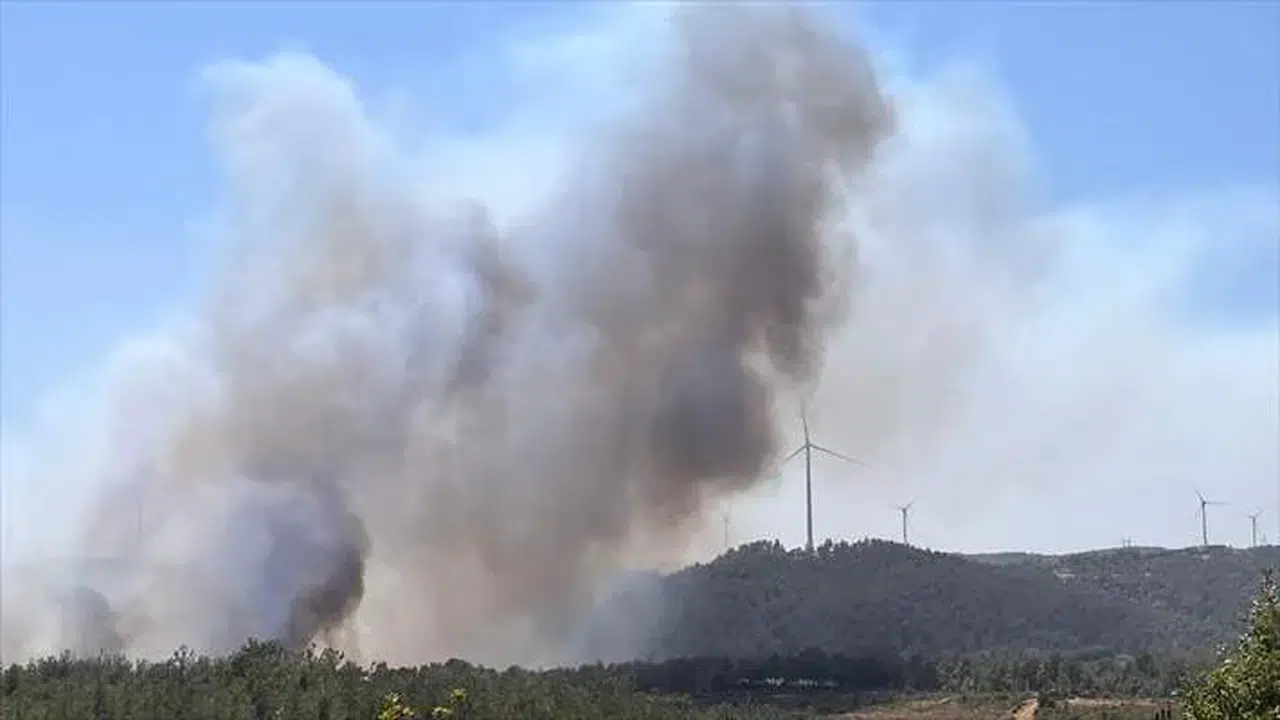 Çanakkale Salihler Barajı yakınlarında orman yangını üç köye ilerliyor