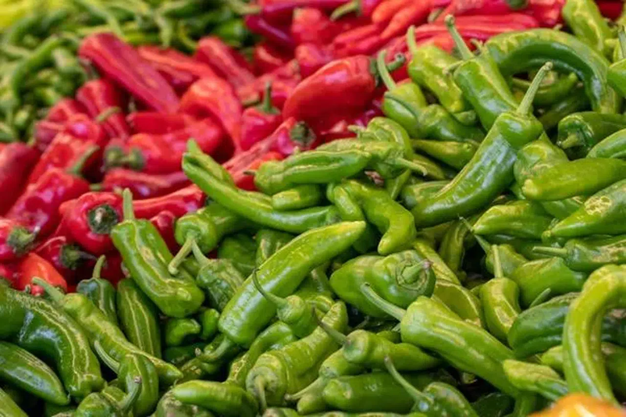 Biberin Cinsiyeti Var mı? Lob Sayısının Gerçek Anlamı Nedir?