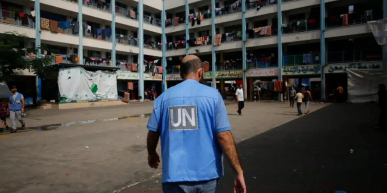 BM: 2024 yılında 383 insani yardım çalışanı öldü