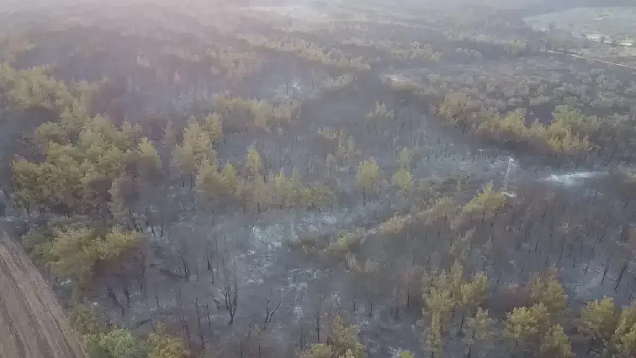 Çanakkale’de iki orman yangını kontrol altına alındı