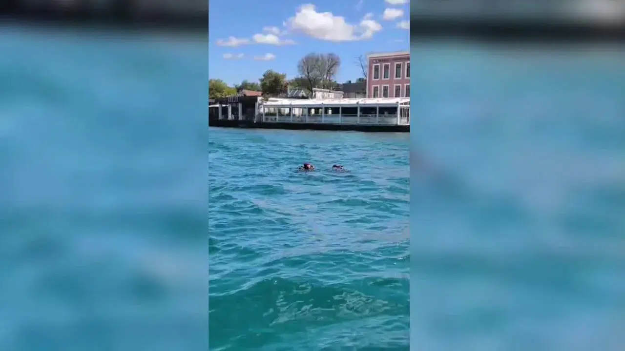 Boğaziçi Kıtalararası Yüzme Yarışı’nda Rus antrenör kayboldu