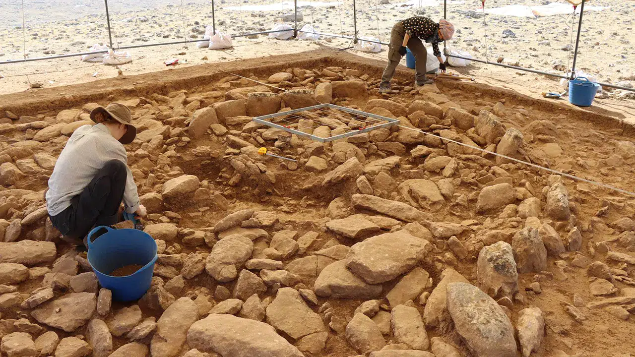 Göbeklitepe'den bile önce inşa edildiği tahmin edilen Mendik Tepe gün yüzüne çıkıyor