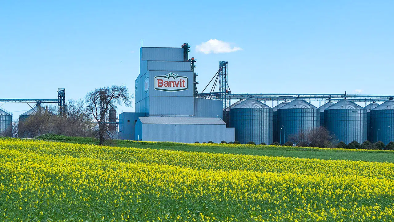 Banvit’e Rekabet Kurulu’ndan 947,3 milyon TL ceza