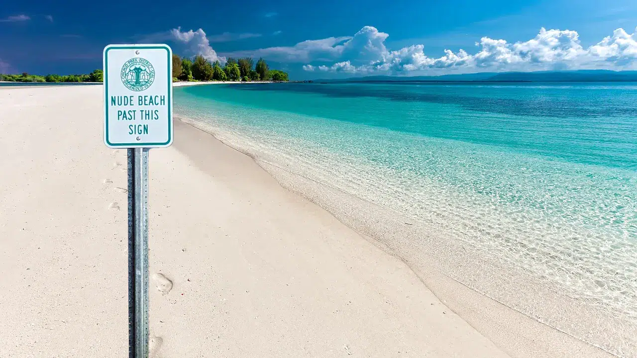 Çıplaklardan Elon Musk'un şirketine dava!