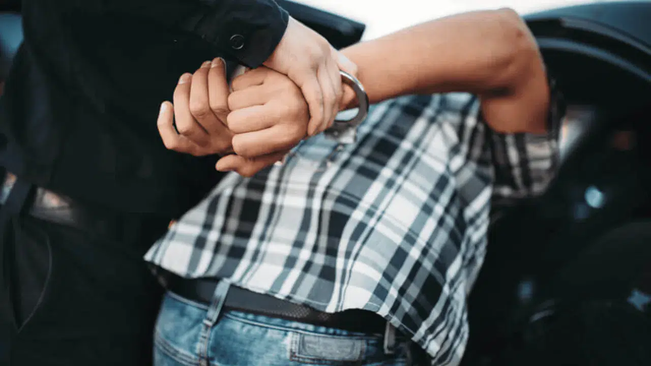 Ali Yerlikaya: 74 ilde düzenlenen dev operasyonlarda 1811 şüpheli yakalandı