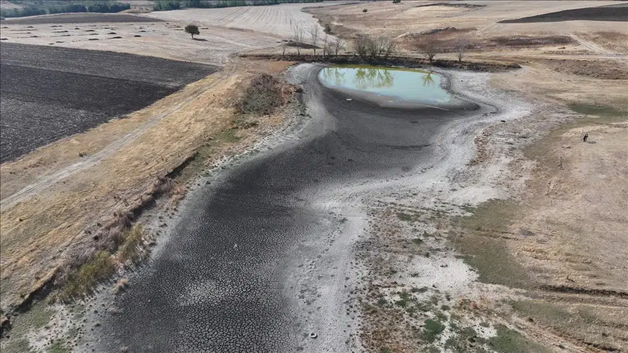 Edirne Habiller köyünde 5 göletten 4'ü kurudu: Kuraklık alarm veriyor