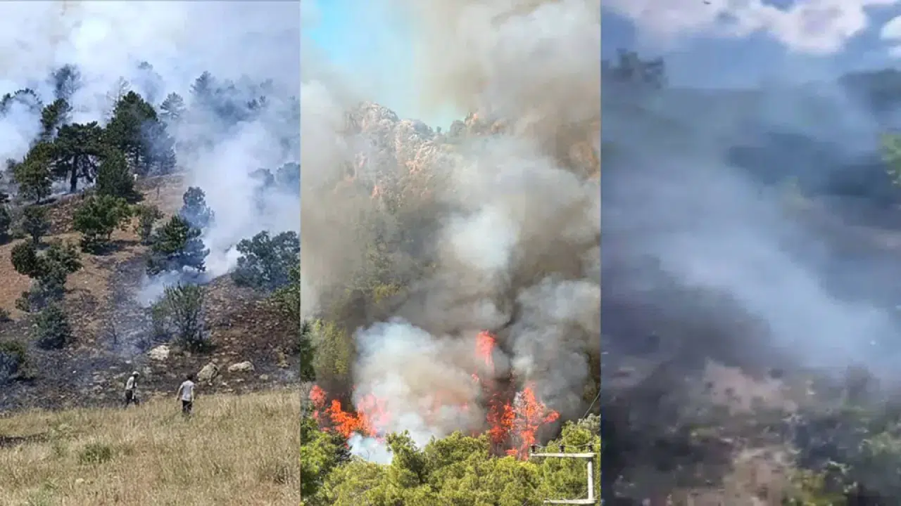 Konya, Çanakkale ve Antalya’da eş zamanlı orman yangınları