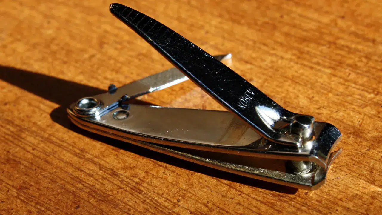 Tırnak makası icat edilmeden önce insanlar tırnaklarını nasıl kesiyordu?