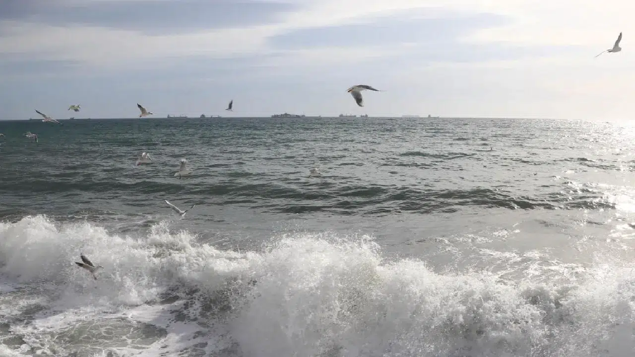 Marmara kıyılarında büyük tehlike: 1,6 milyon kişi risk altında