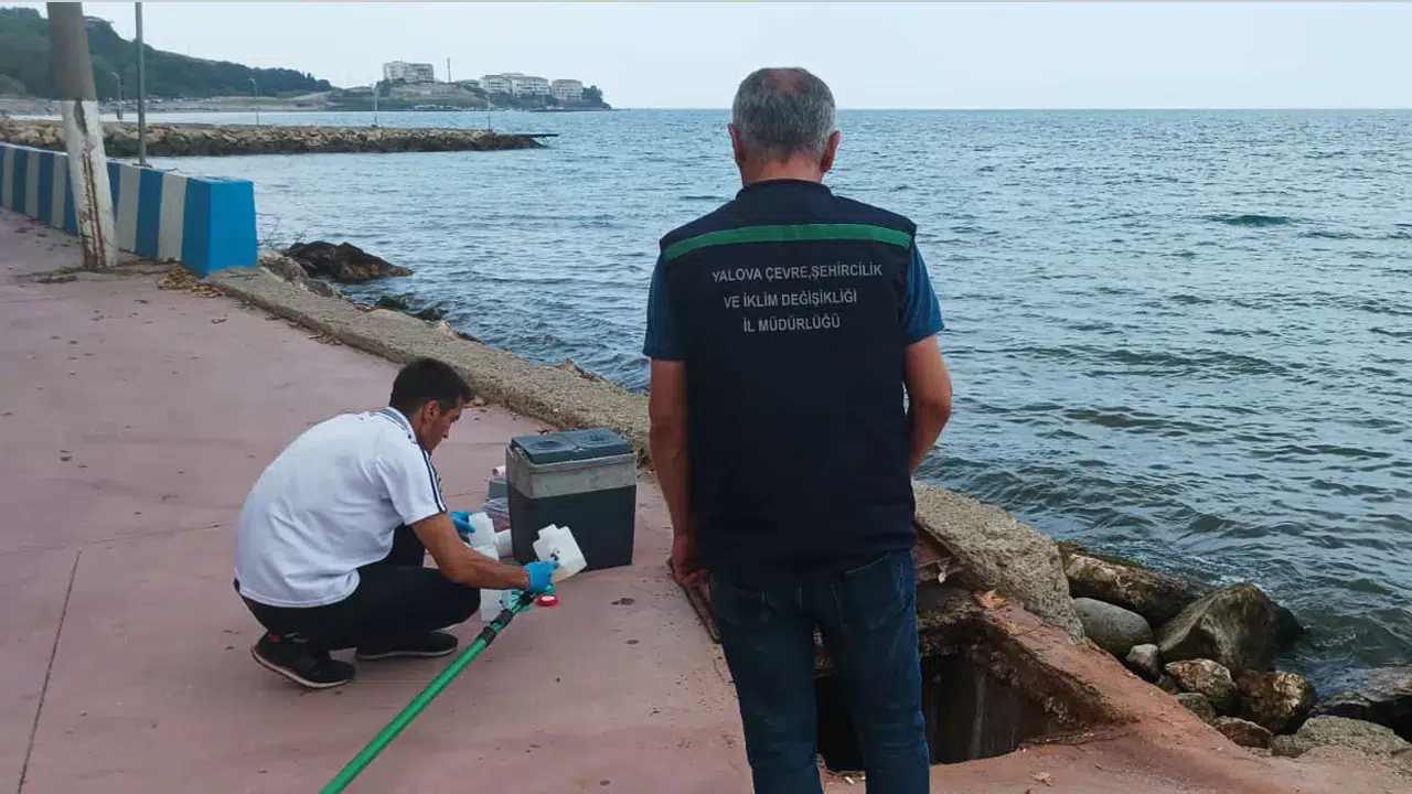 Yalova'da çevre kirliliğine sebep olan 2 belediyeye bakanlık 4 milyon TL ceza uyguladı