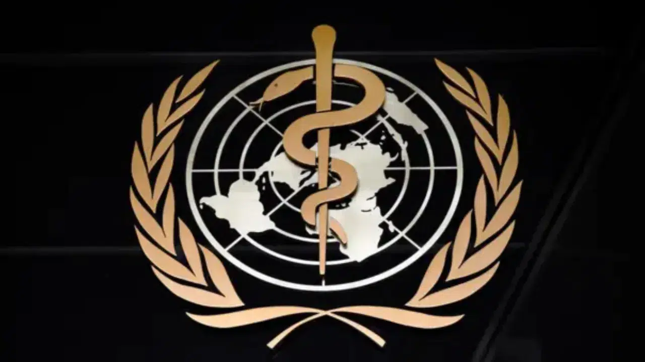 DSÖ açıkladı: Parasetamol otizme yol açar mı?