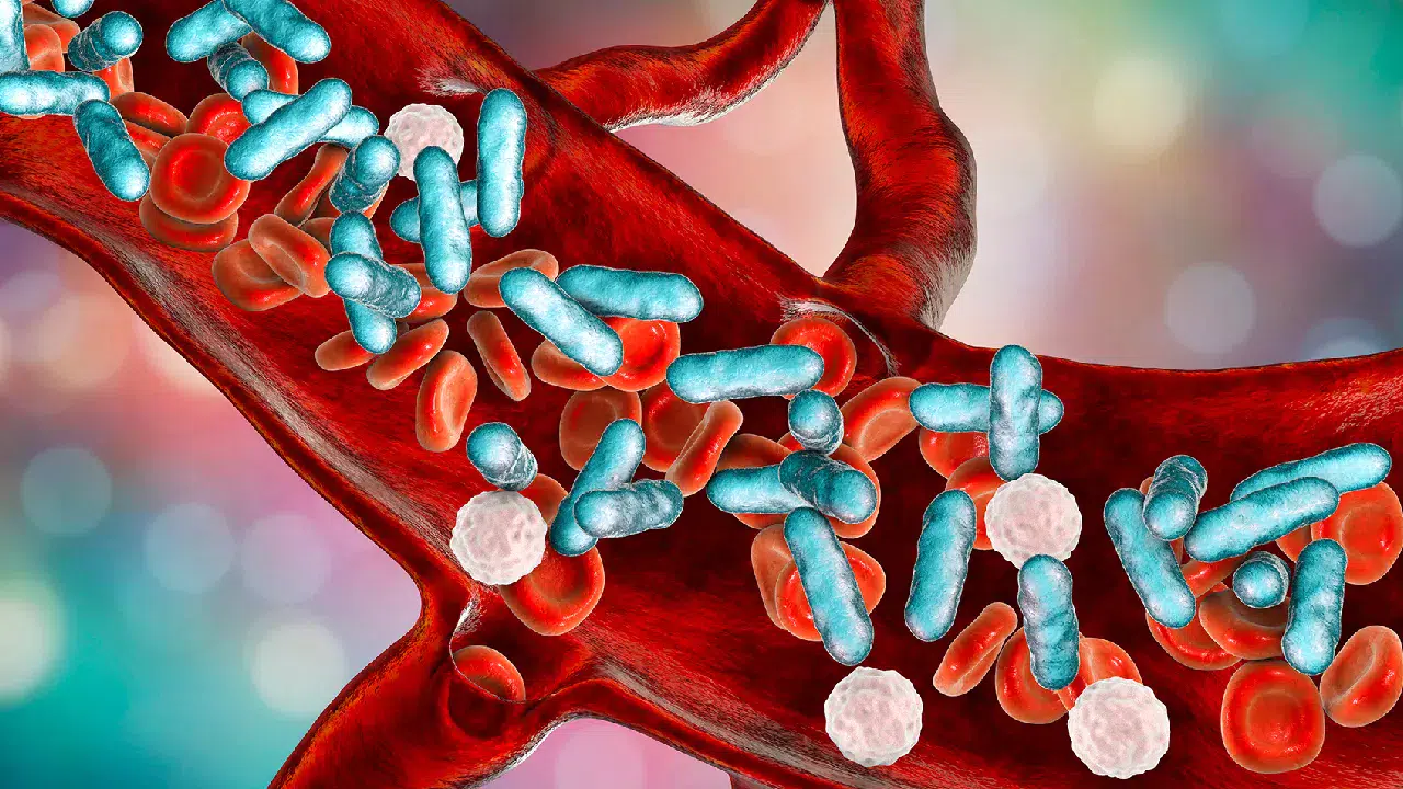 Enfeksiyonlarda hayati tehlike: Sepsis belirtilerine dikkat!