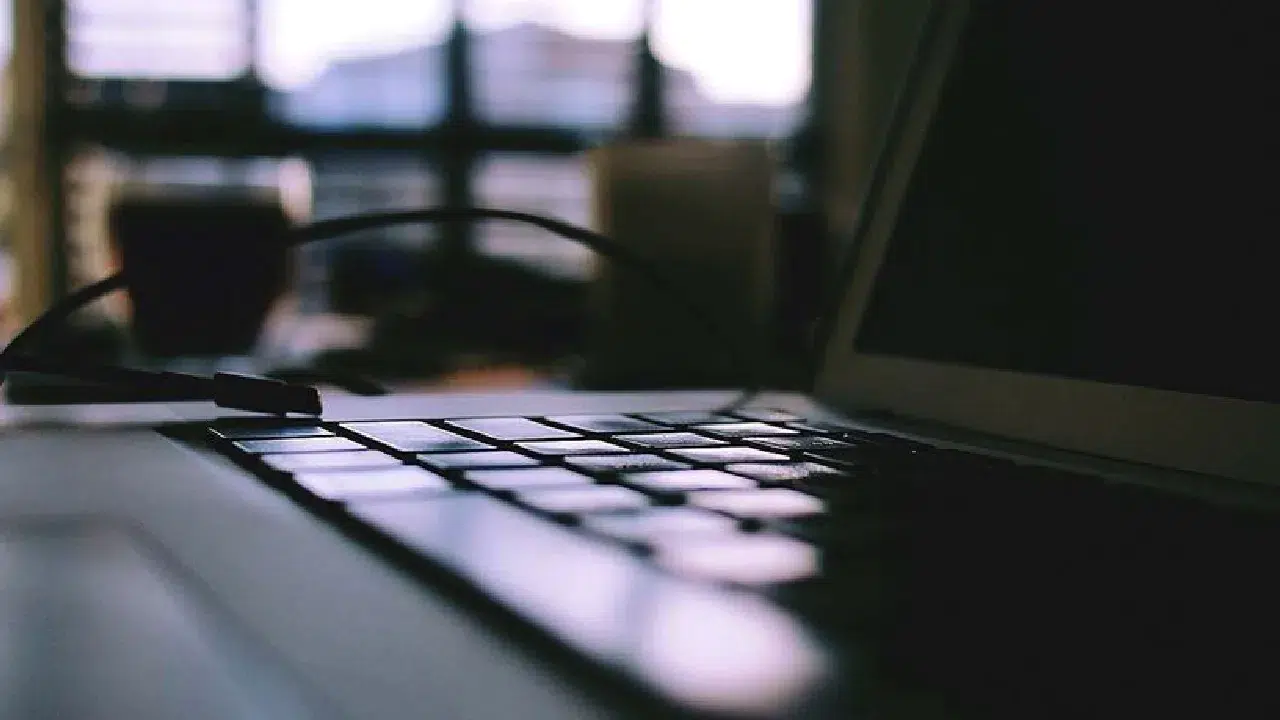 Ölü internet teorisi: İnternet insanlar için mi, botlar için mi?