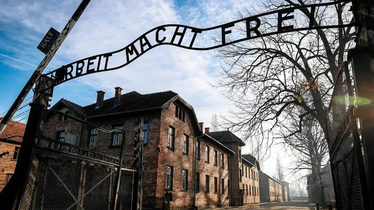 Uluslararası Auschwitz Komitesi'nden Almanya'da AfD'nin kapatılması için acil çağrı