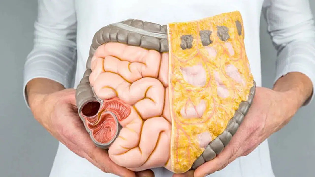 Sessiz şifa kaynağı: Hem bağırsakları hem ruh halini etkiliyor