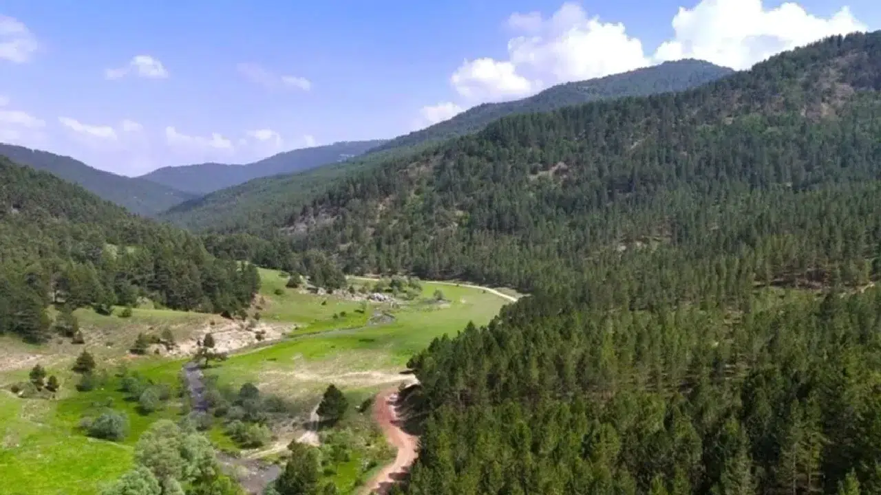 21 ilde bazı alanlar orman sınırları dışına çıkarıldı